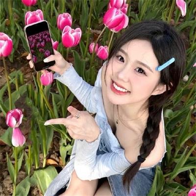 中国之役